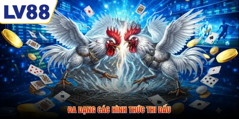 Đa dạng các hình thức thi đấu