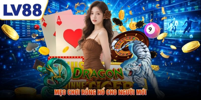 Mẹo chơi rồng hổ cho người mới